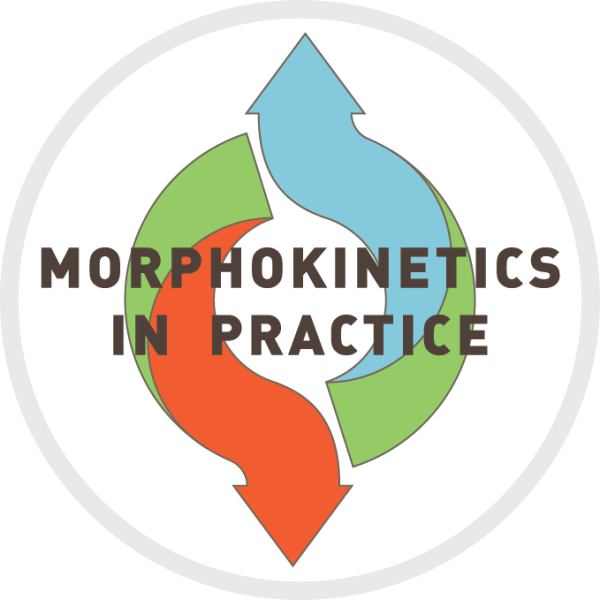 Morphokinietics In Practice