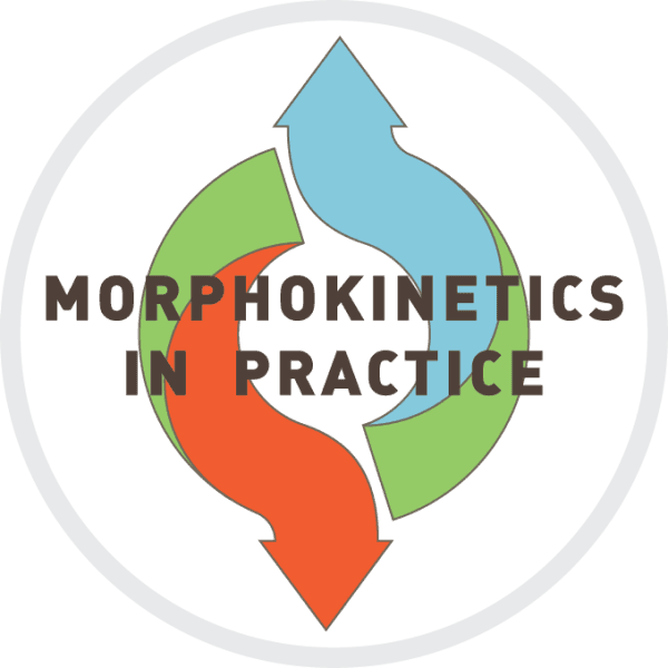 Morphokinietics In Practice